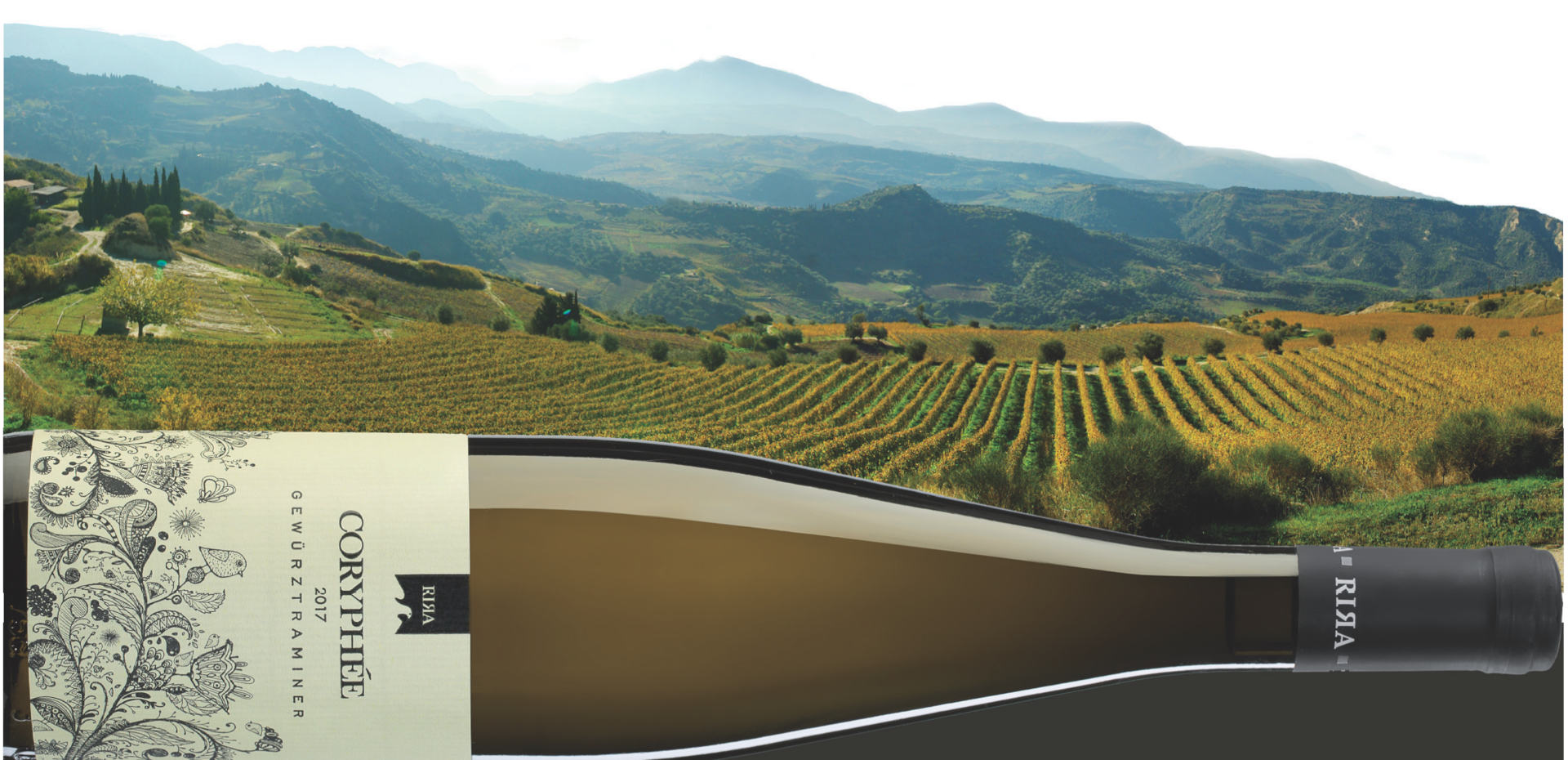 Gewürztraminer white wine